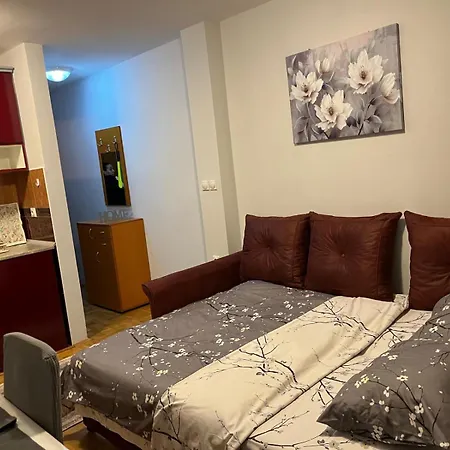 Apartment Asper Vrnjacka Banja